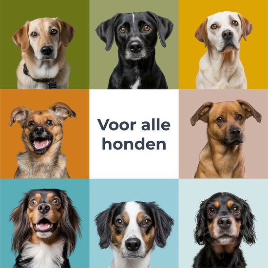 Orthopädisches Hundekissen XL - Orthopädischer Hundekorb - Bett - Bank - Waschbar - Hundebett - Panier Chien - Grau - Dutchwide