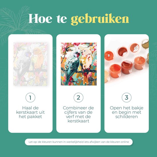Rubye® Malerei auf Nummer - Papageien für Erwachsene und Kinder - 40x50cm