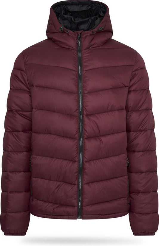 Pierre Cardin - Herren Winter Steppjacke - Rot - Größe L