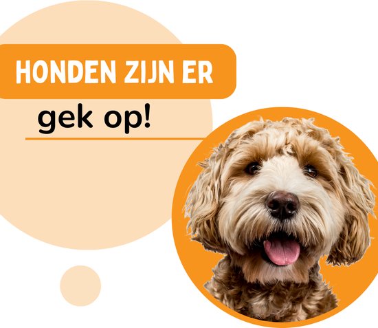By Cee Cee Orthopädisches Hundekissen - Orthopädischer Hundekorb - Royal Collection Hundebett - Gerippter Stoff - Grau - 100x70 - Schaumstoffblase