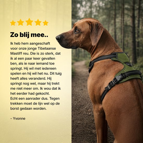 Jake und Jacky Hundegeschirr – Anti-Zug-Geschirr – Hundegeschirr – Y-Geschirr für Hunde – Reflektierend – Grün – Größe S