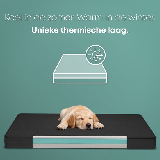 CozySense® Orthopädisches Hundekissen 60 X 40 Cm - Größe S - Wasserdicht - Geeignet als Sitzkissen & Hundebett - Waschbarer Bezug - Schwarz