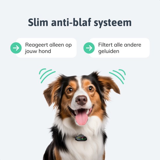 Dutchwide Anti-Bell-Halsband Pro - 100% wasserdicht - Hundetrainingshalsband - Mit Anti-Bell-Vorrichtung - Geeignet für kleine und große Hunde - Hundetrainingshilfe