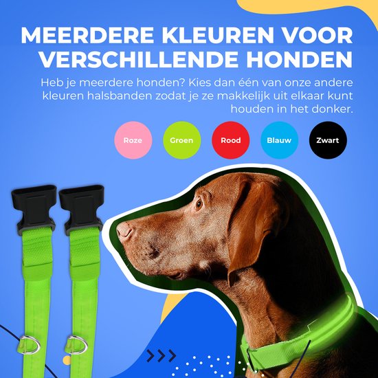 Dutchwide Leuchthalsband Hund - Extra Stark - L 41 cm bis 52 cm - Hundehalsband - Schnapphalsband - Verstellbar - Reflektierend