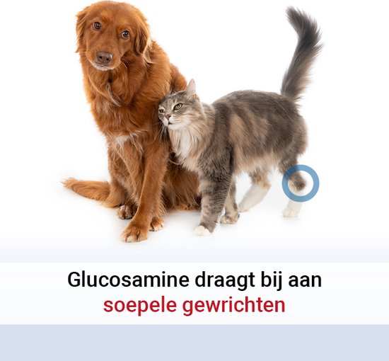 Pharmox Dog & Cat Glucosamine 1000 ml - Wichtiger Baustein für Hunde und Katzen