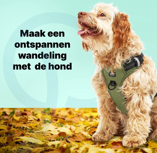Jake und Jacky Hundegeschirr - Anti-Zieh-Geschirr - Hundegeschirr - Y-Geschirr Hund - Reflektierend - M - Grün