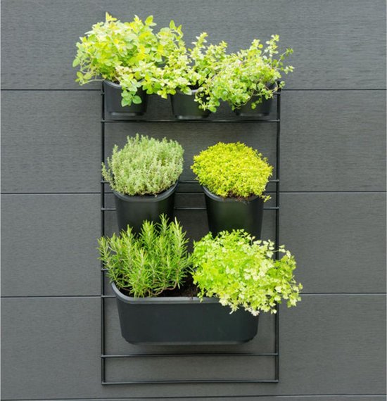 Nature – Vertikales Gärtnern mit Metallrahmen – H 84 x 48 cm – Komplettset