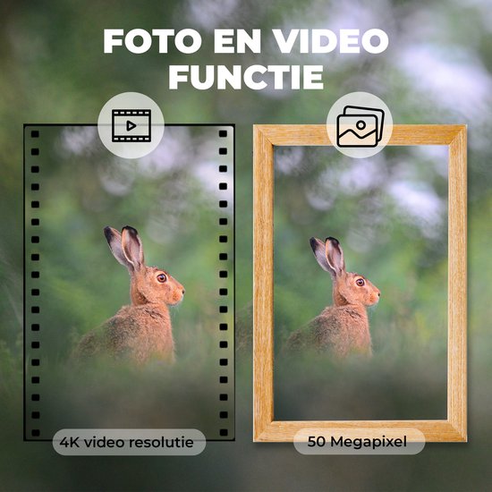 Denver Wildkamera mit Nachtsicht - 4K Ultra HD - 50MP - LCD Bildschirm - Wasserdicht - WCT8016