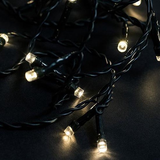 DecorativeLIghting Buchsbaum Lichterkette - 100 LEDs - warmweiß