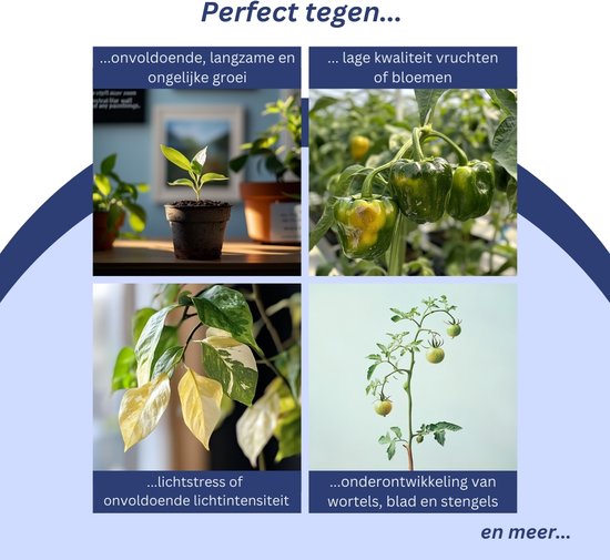 a sunny day LED Wachstumslicht - Wachstumslampe - Vollspektrum - grow & bloom - Wachstumslicht - Wachstumslampe Vollspektrum - 45 Watt - 30 x 30 cm - 225 LEDs