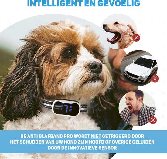 Anti-Bell-Halsband Pro mit LED - Erziehungshalsband ohne Schock - Anti-Bellgerät für kleine und große Hunde - wasserdicht, wiederaufladbar und beleuchtet - Vibration und Audio