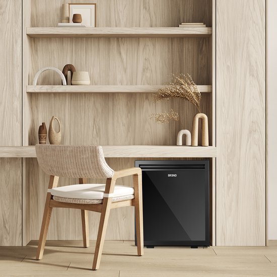BREND BR-2225 Mini-Kühlschrank Freistehend 30 Liter - Tischkühlschrank mit einstellbarer Temperatur - Minibar mit einstellbarer Türrichtung - Schwarz