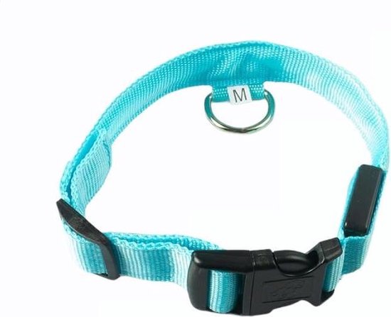 Leuchthalsband LED Größe XL 42 - 56 cm USB Wiederaufladbares Hundehalsband Welpenleine - Blau Hund Katze Kitten Katze - Dutchwide