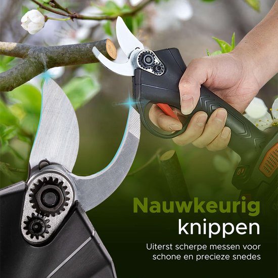 Qualitá® Elektrische Gartenschere - 2 in 1 Mini-Kettensäge - Blumenschere, Astschere, Heckenschere elektrisch - 2 Akkus mit Ladegerät - inkl. Aufbewahrungsbox Gartengeräte