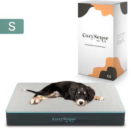 CozySense® - Orthopädisches Hundekissen 60 X 40 Cm - Größe S - Wasserdicht - Geeignet als Sitzkissen & Hundebett