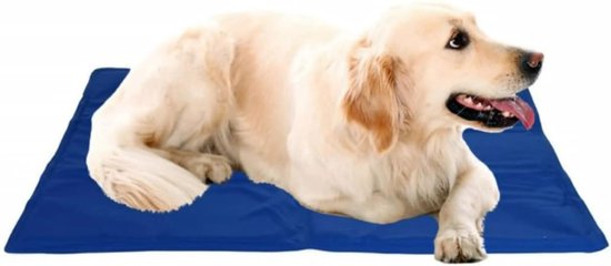 Kühlmatte für Hunde – 65 x 50 cm – Blau