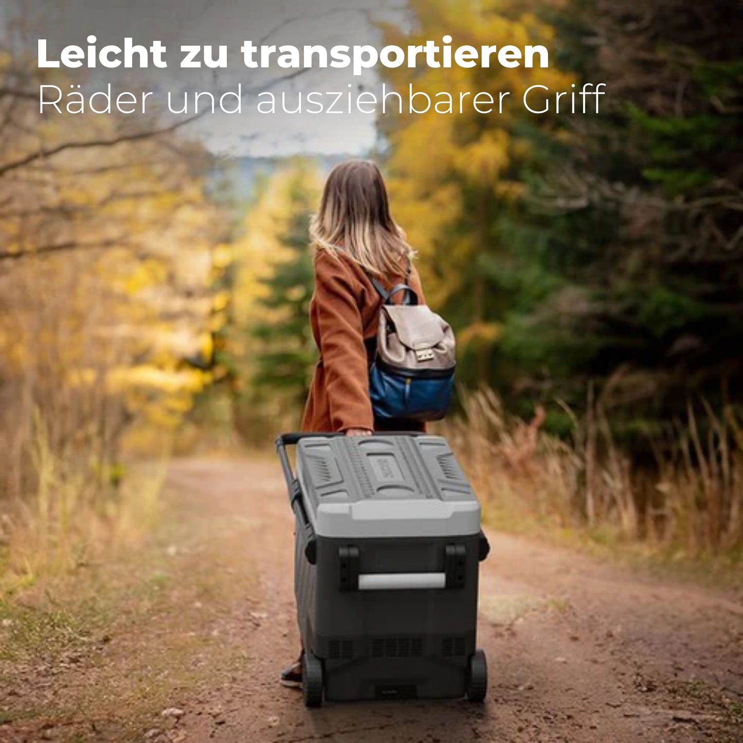 Auronic Kompressor Kühlbox - Elektrisch - 12V und 230 Volt - Gefrieren und Kühlen - 49L - Grau