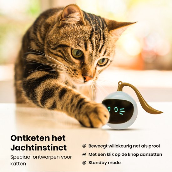 Otiume - Interaktiver Katzenball - Selbstrollend - USB Wiederaufladbar - weiß