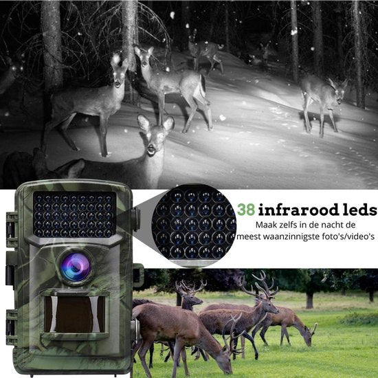 CAMUX Professional Wildlife Kamera - 16MP - Mit Nachtsicht - Inkl. 32GB SD Karte
