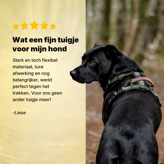Jake und Jacky Hundegeschirr Hund Medium - Anti-Pull-Geschirr - Y-Geschirr Hund - Hundegeschirr - Grün - Größe S