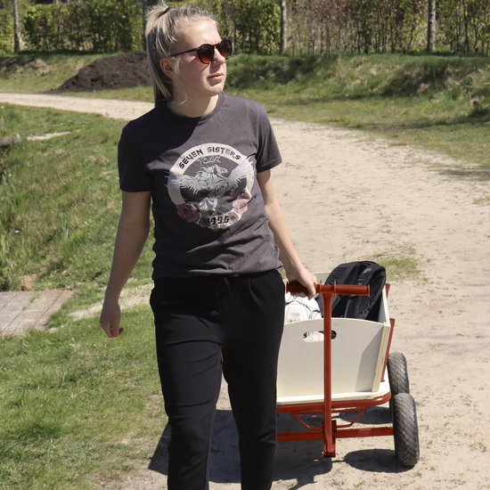Sunny Billy Beach Wagon Trolley Rot - Klares Holz - Trolley mit Luftreifen - 94x61x97cm
