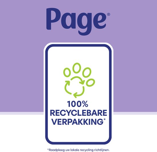 Page® feuchtes Toilettenpapier - Frisch und wohltuend (Care) - mit einer pflegenden Lotion - 456 Blatt - 12 x 38 Stück - Sparpackung