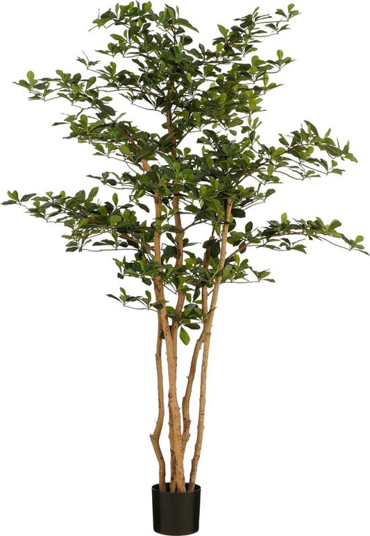 Mica Decorations Künstlicher Olivenbaum im Topf - H183 x Ø130 cm - Grün