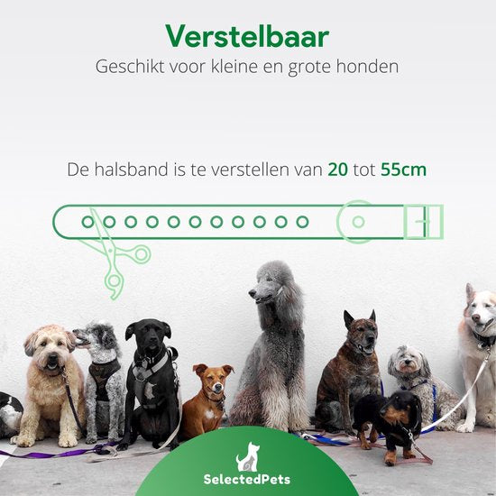 Anti-Bell-Halsband - Bellen-Halsband für Hunde - Bellen-Halsband großer und kleiner Hund - Automatische Bellen-Erkennung einstellbar auf Ihren Hund