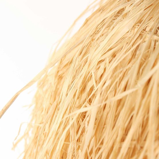 Anne Lighting – Hängeleuchte – Grass – natur – Gras – Ø 53 cm – E27 – 3819BE