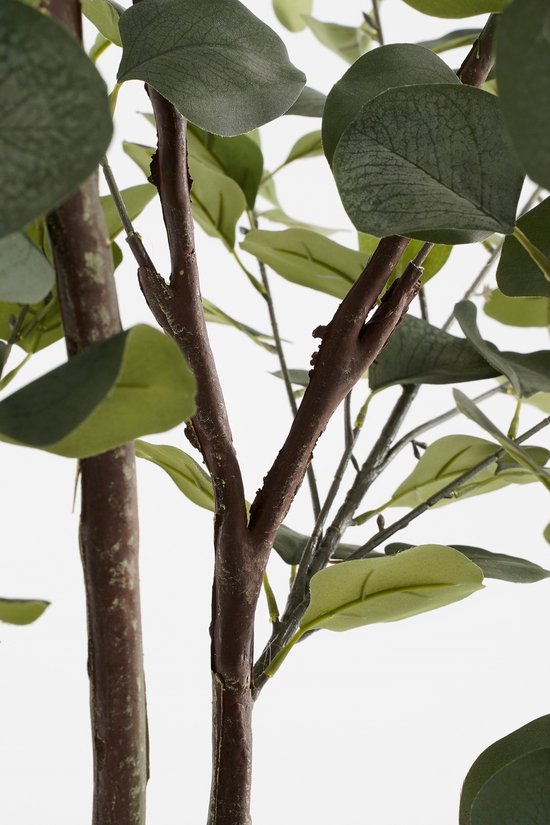 Mica Decorations Eukalyptus-Kunstpflanze im Blumentopf - H95 x Ø55 cm - Grün