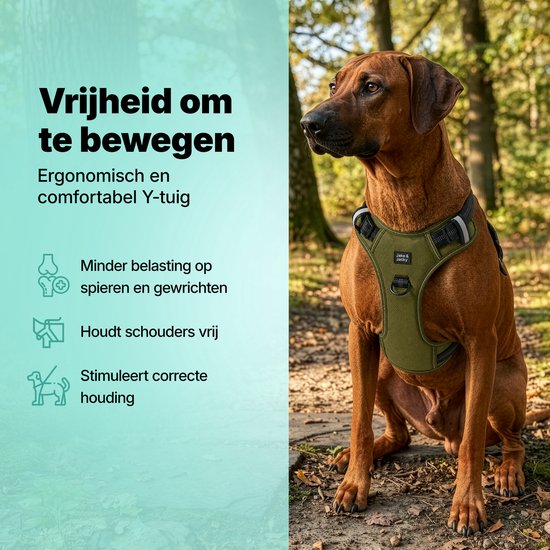 Jake und Jacky Hundegeschirr – Anti-Zug-Geschirr – Hundegeschirr – Y-Geschirr für Hunde – Reflektierend – Grün – Größe S