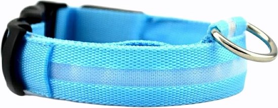 Leuchthalsband LED Größe XL 42 - 56 cm USB Wiederaufladbares Hundehalsband Welpenleine - Blau Hund Katze Kitten Katze - Dutchwide
