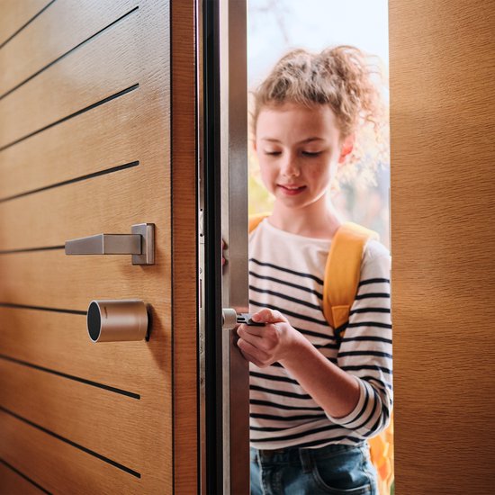 Netatmo Elektrisches Türschloss - Smart Key - 1 Schlüssel - NFC Schlüssel - Silber
