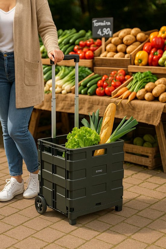 Ceruzo Einkaufswagen mit klappbarer Kiste - 30 Liter mit 2 Rädern- klappbar- Einkaufskiste-Schwarz