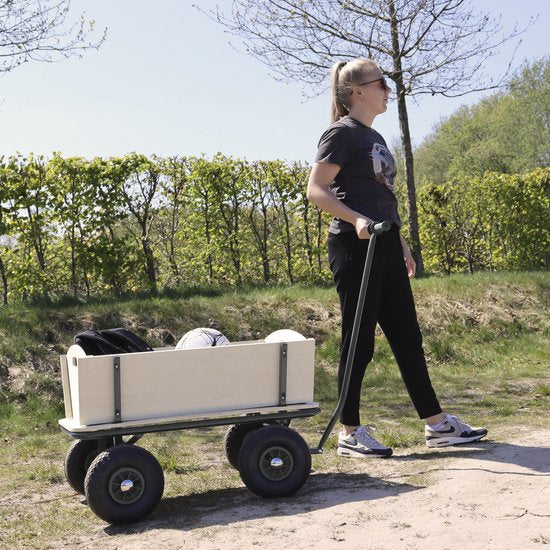 Sunny Billy Beach Wagon Wagen Anthrazit - Blankes Holz - Wagen mit Luftreifen - 94x61x97cm
