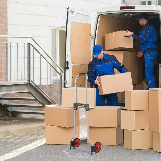 BRASQ Zusammenklappbarer Trolley inkl. Gepäcknadel - 60 KG Kapazität - Transportwagen - Plattformwagen - Stahlwagen