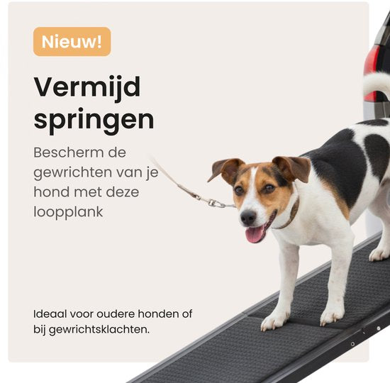 Hundespaziergangsbrett für das Auto - Zusammenklappbare Hundetreppe - Mit Anti-Rutsch - 160 cm