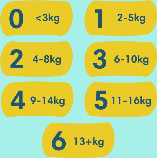 Pampers – Premium Protection – Größe 4 – Megapack – 78 Windeln – 9/14 kg