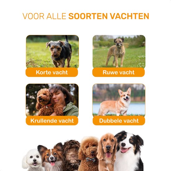 Dutchwide Hundekatzenschere - Für dickes Fell - Flüsterleise Schermaschine - Kabellos - Tierpflege-Set