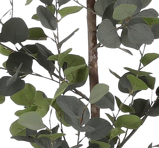 Mica Decorations Künstliche Eukalyptuspflanze im Blumentopf - H150 x Ø30 cm - Grün