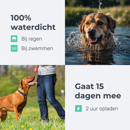 Dutchwide Anti-Bell-Halsband Pro - 100% wasserdicht - Hundetrainingshalsband - Mit Anti-Bell-Vorrichtung - Geeignet für kleine und große Hunde - Hundetrainingshilfe