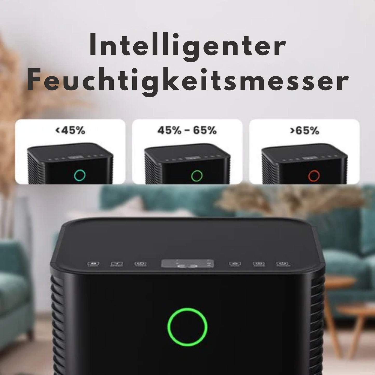 Auronic Luftentfeuchter - Compact Series - 12L pro Tag - Waschtrockenfunktion - Schlafzimmer, Badezimmer und Wohnzimmer - Feuchtigkeitsentferner für den Haushalt - Schwarz