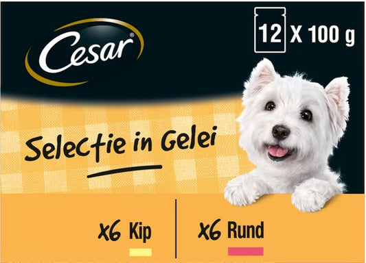 Cesar Meal Pouches Multipack Adult In Jelly - Hundefutter - 4 x 12 Stück