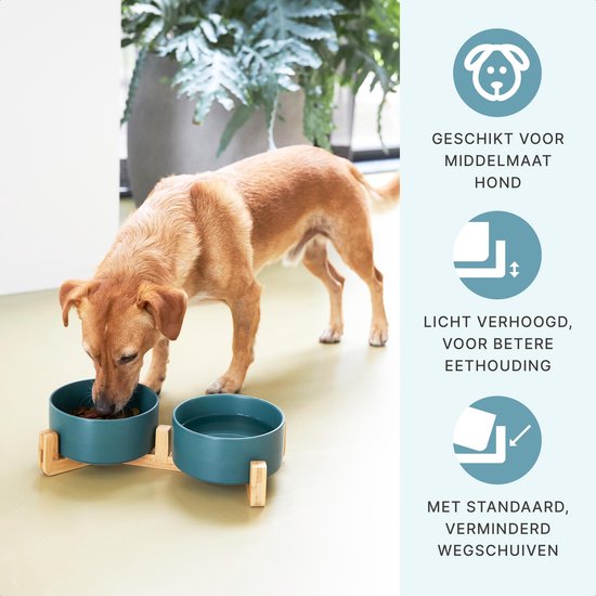 Futternapf Hund - Trinknapf - Mit Bambusständer - 2x 800 ml - Größe M - Grün matt