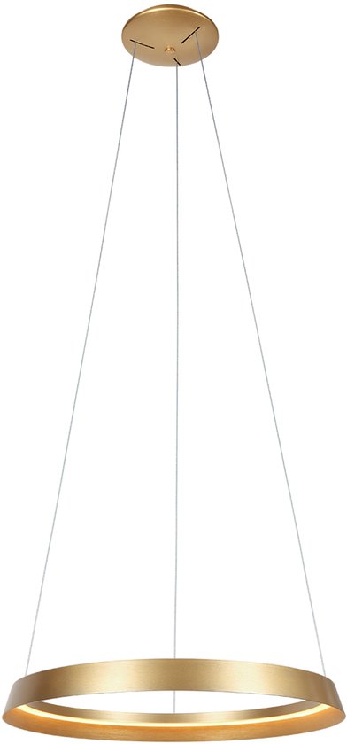 Steinhauer - Pendelleuchte - Ringlux - gold - Metall - Ø 60cm - LED - 3692GO