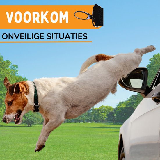 By Cee Cee Car Hundekorb für Auto - Mit Sicherheitsgurt - Für große Hunde - Dunkelgrau - Größe M
