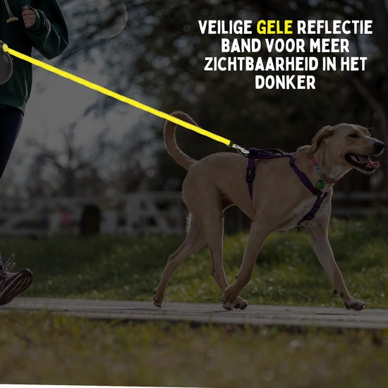 By Cee Cee Hundeleine 8 Meter - Leine für Hunde bis 50KG - Schwarz - Reflektierende Leine - Stabiles robustes Material - Reibungsloses Auf- und Abwickeln