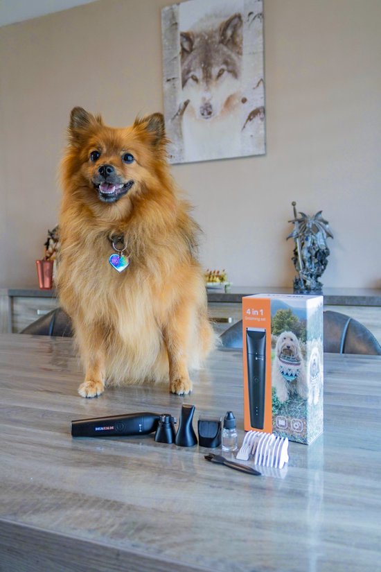 Dutchwide Hundekatzenschere - Für dickes Fell - Flüsterleise Schermaschine - Kabellos - Tierpflege-Set