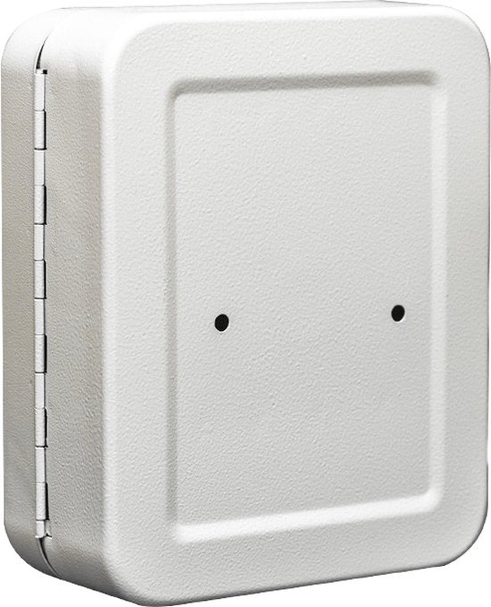 BRASQ Schlüsselschrank - 16x20x7,5 cm - Schlüsselsafe - Schlüsselkasten - Mit Zylinderschloss - 20 Haken für Schlüssel - KC100 - Grau