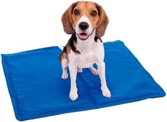 Kühlmatte für Hunde – 65 x 50 cm – Blau